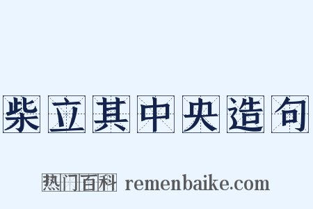 柴立其中央造句是什么意思的图片